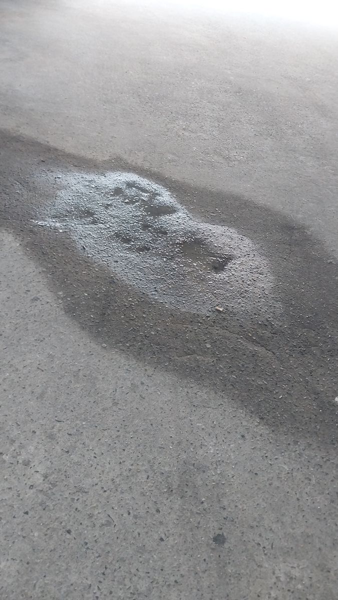 삼산동 바닥에 떨어진 물 자국